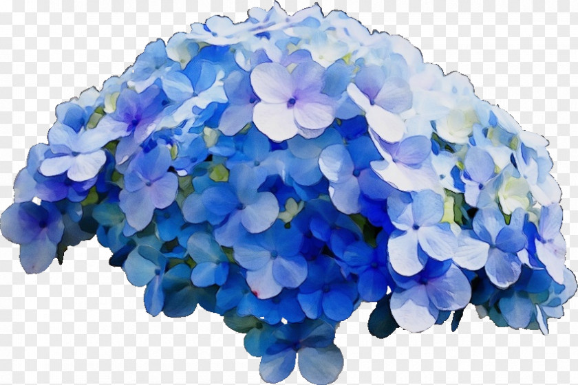 Cornales Petal Blue Watercolor Flowers PNG
