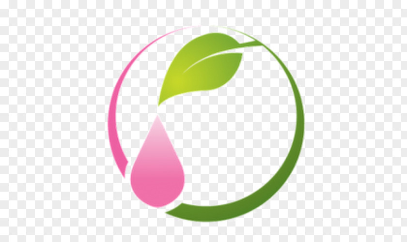 Design Logo Green Brand Font PNG