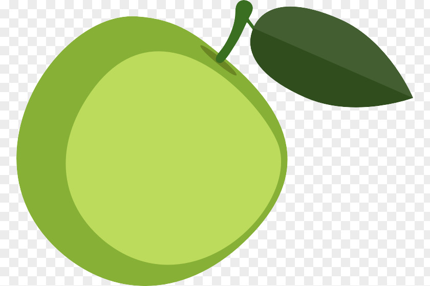 Green Apple Granny Smith Icon PNG
