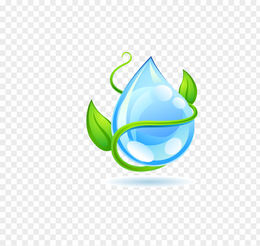 Green Leaf Water Drops Drop Boring Information PNG