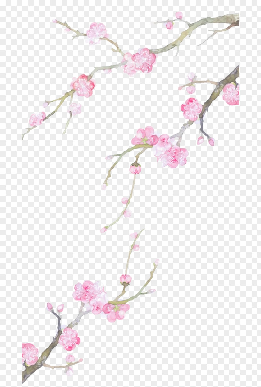 Hand-painted Peach Branches Cartoon Drawing Clip Art PNG