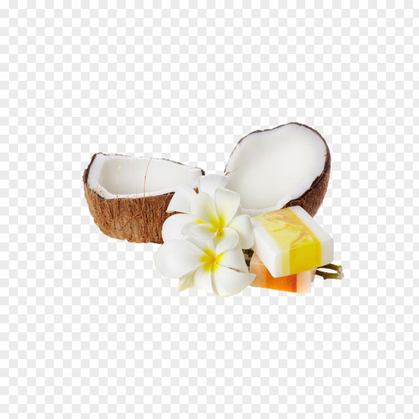 Natural Coconut Soap Oil PNG