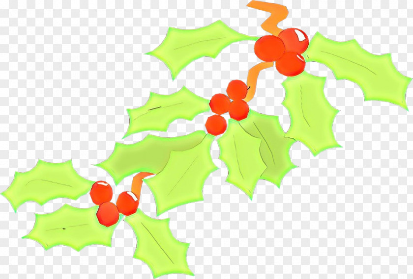 Plant Leaf Holly PNG