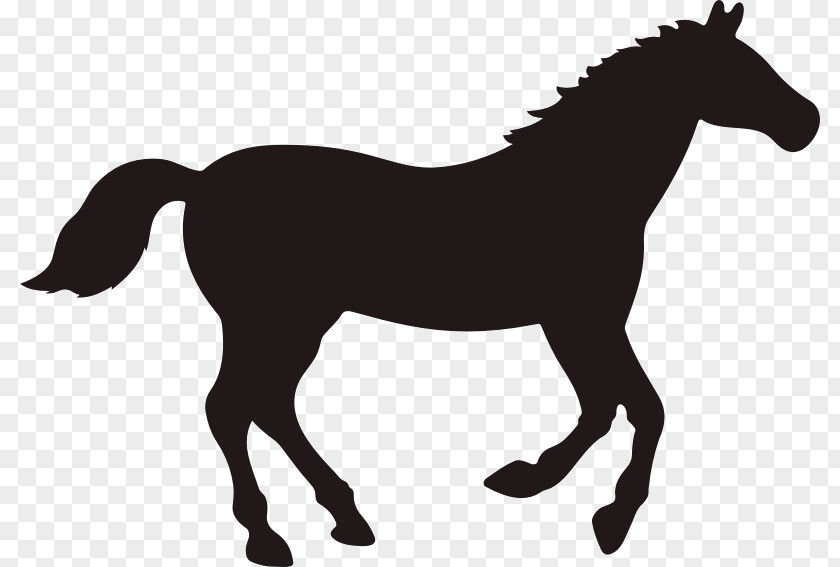 Silhouette Rocky Mountain Horse Vector Graphics Clip Art Black PNG