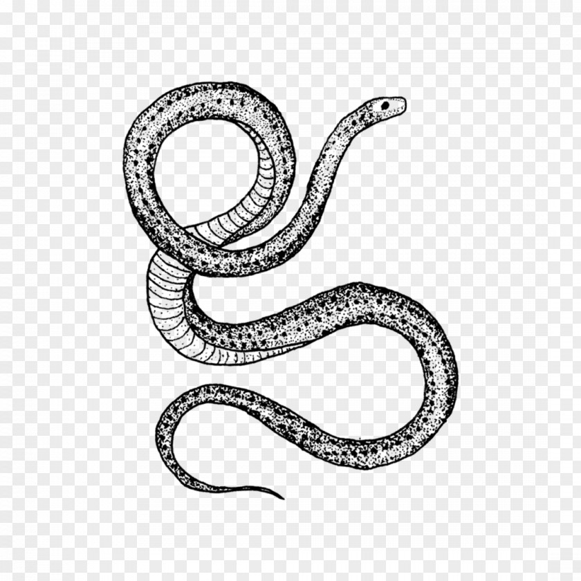 Silver Jewellery Snake Cartoon PNG