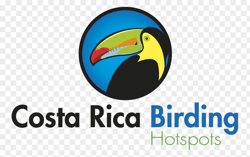 Bird Birdwatching Arenal Volcano Obarenes Observatory Lodge & Spa PNG