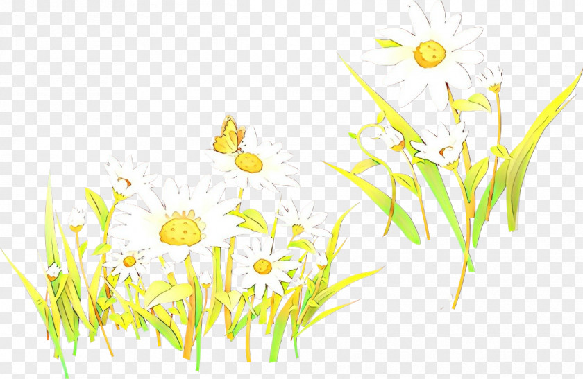 Plant Stem Mayweed Floral Flower Background PNG