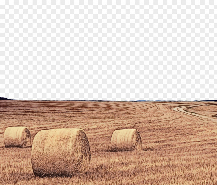 Prairie Plain Hay Field Straw Farm Agriculture PNG