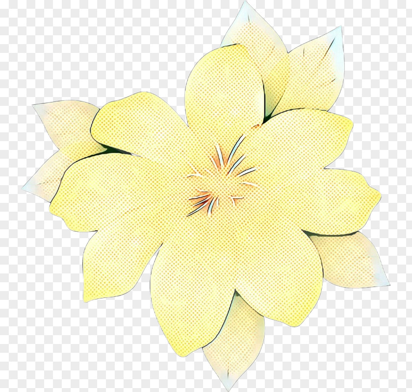 Cut Flowers Floristry Petal Yellow Flowering Plant PNG