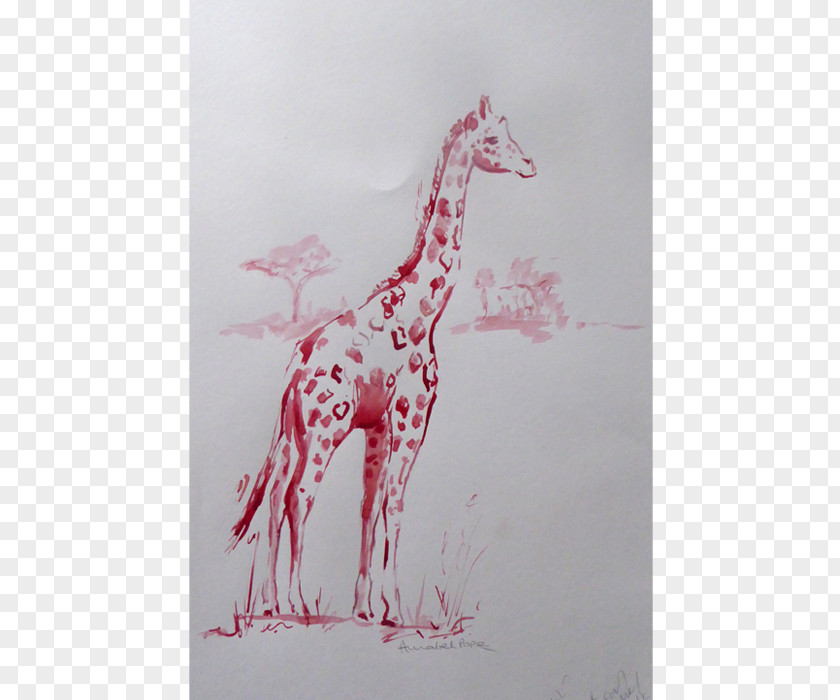 Giraffe Drawing Pink M /m/02csf RTV PNG