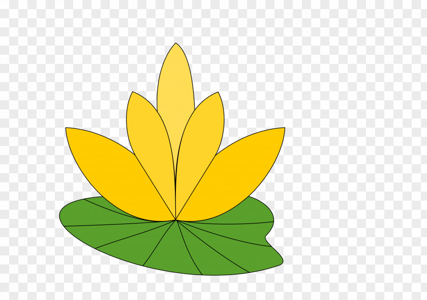 Lotus Desktop Wallpaper Clip Art PNG