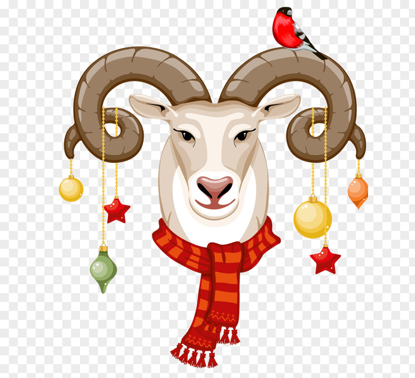 Sheep Goat Vector Graphics Horn PNG