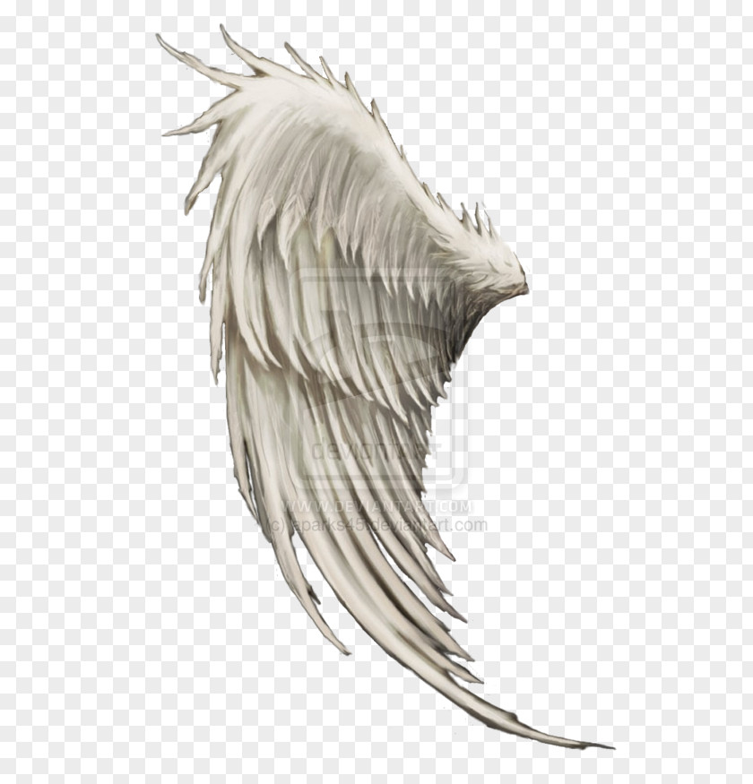 Angel Wings Wing Clip Art PNG