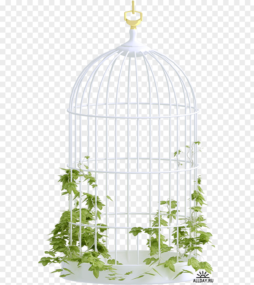 Birdcage PNG