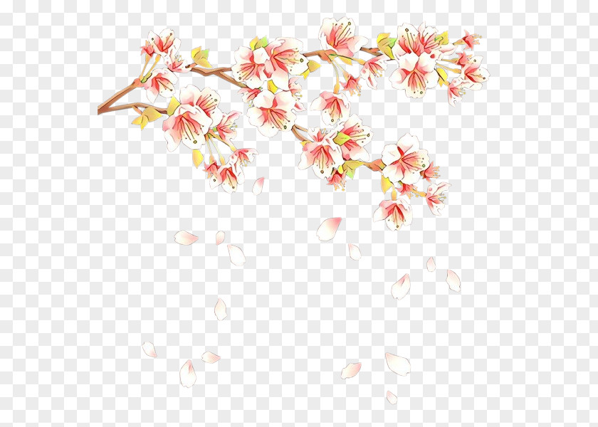 Cherry Blossom Design Illustration Spring PNG