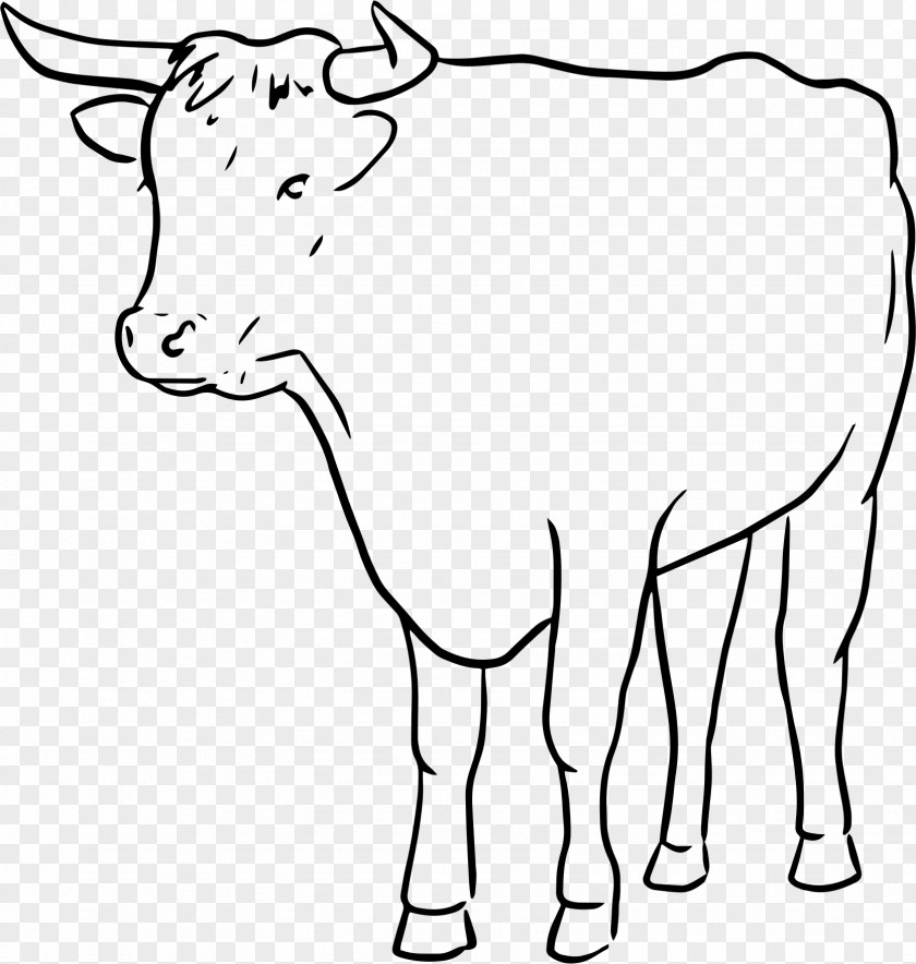 Draw Cattle Bull Drawing Line Art PNG
