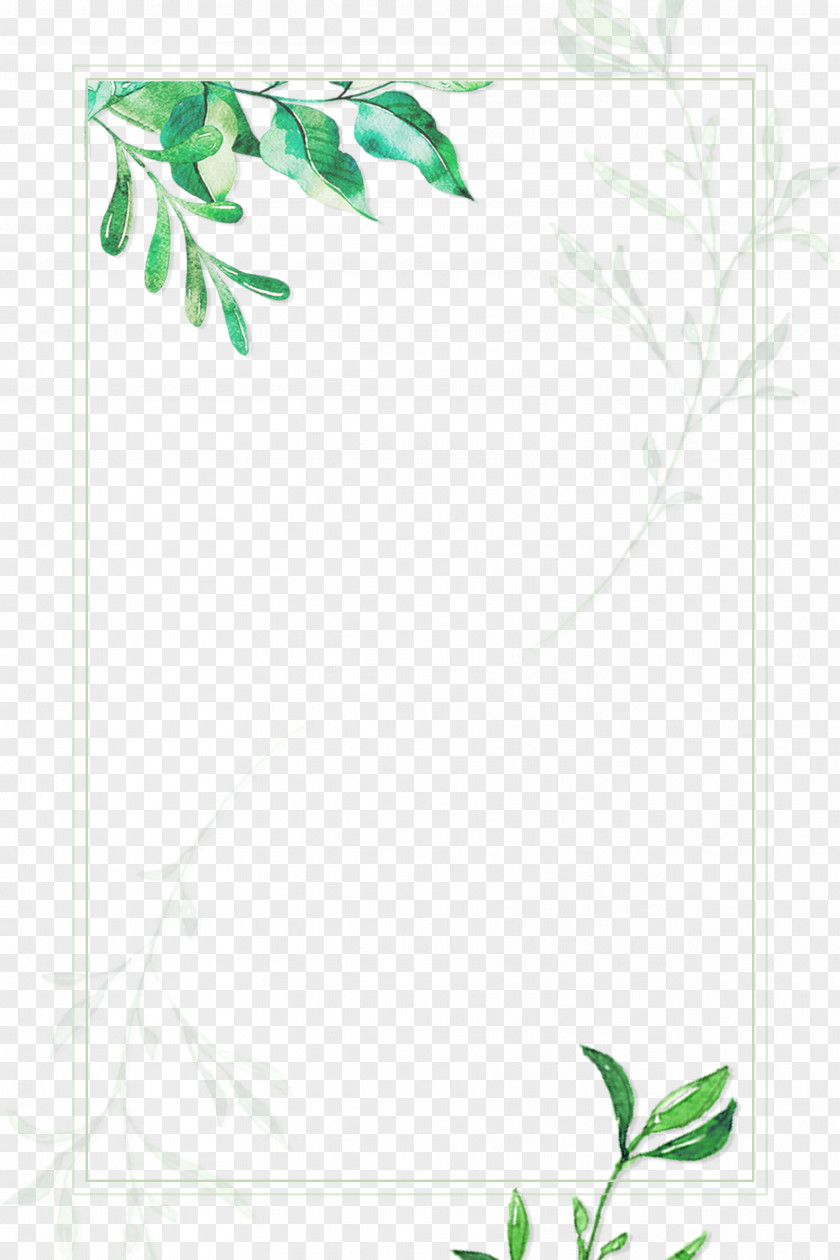 Hand Painted Green Plant Borders Template Adobe Illustrator Cdr PNG