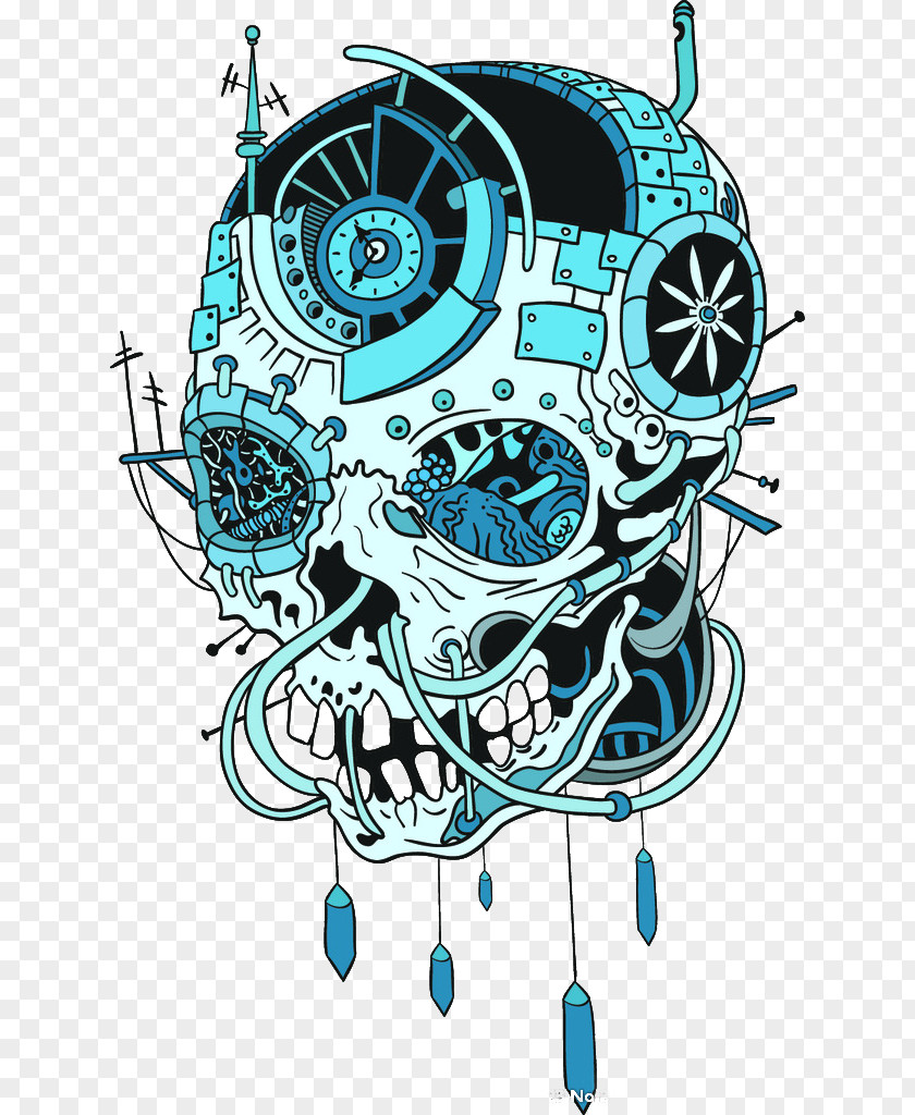 Model Skeleton T-shirt Human Skull Calavera PNG