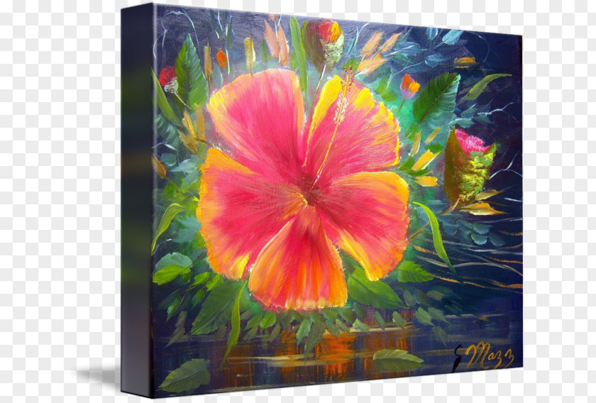 Painting Rosemallows Oil Art Watercolor PNG
