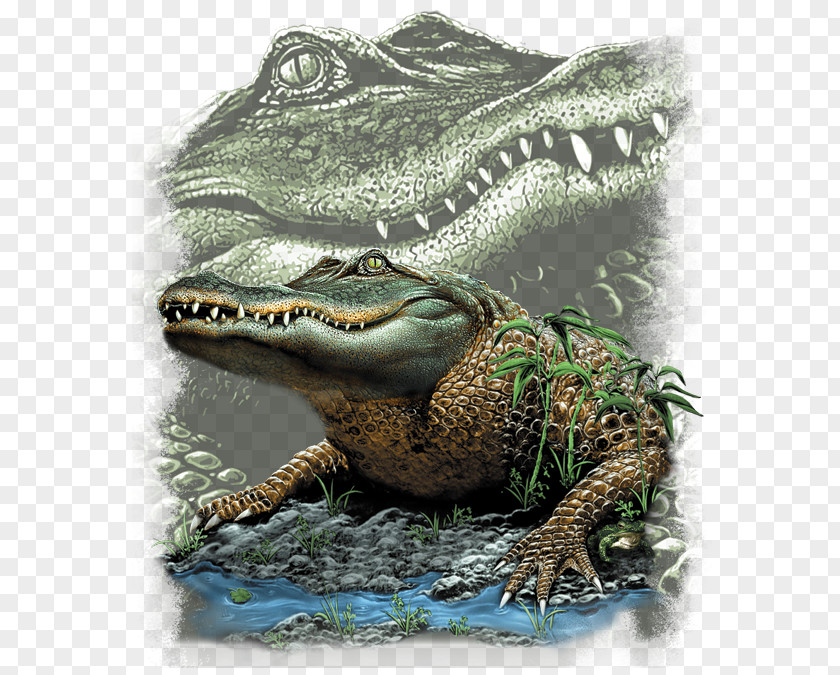 Swamp T-shirt Hoodie Top Alligators PNG