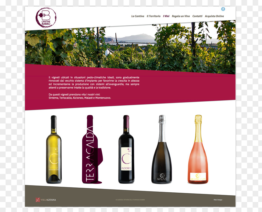 Web Design Responsive Graphic Champagne PNG