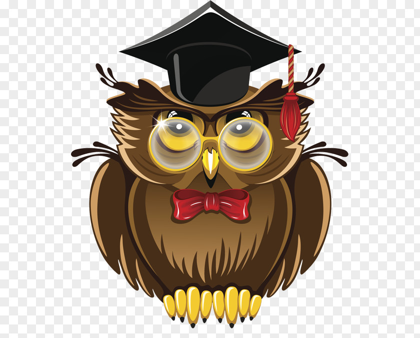 Wise Owl Clip Art PNG