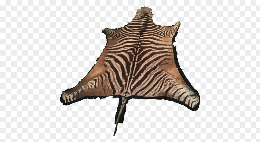 Zebra Carpet Wood Flooring Cowhide PNG