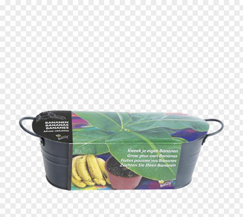 Banana Anthracite Seed Herb Kleurplaat PNG