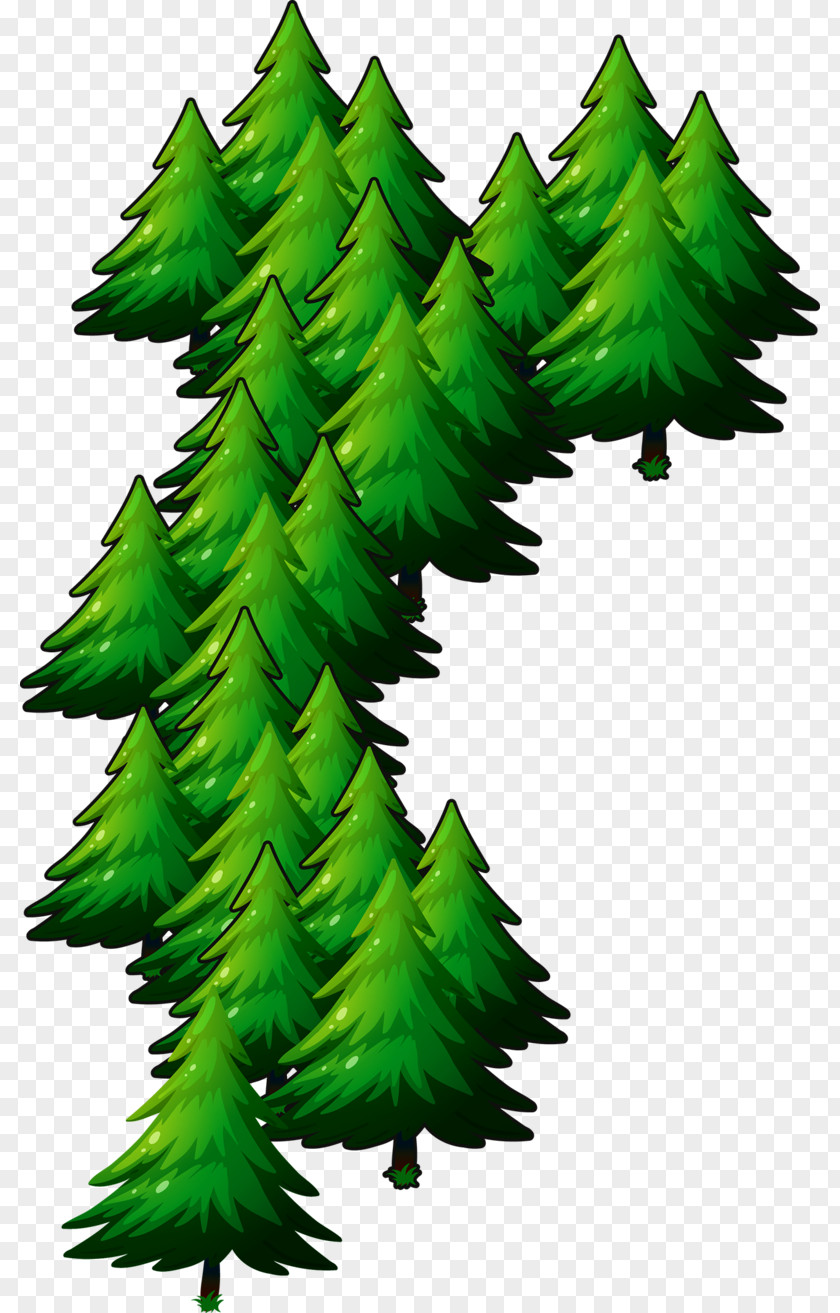 Christmas In July Spruce Fir Deodar Cedar Tree Day PNG