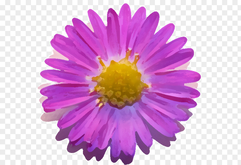 Cosmos Flower Auto Totaal Service Pluim Vacaturesite Automotive Engineer Middelbare Technische School Stellenausschreibung PNG