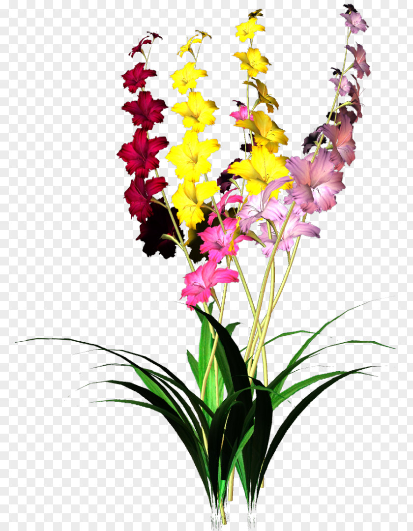 Gladiolus Landscape Painting Floral Design PNG