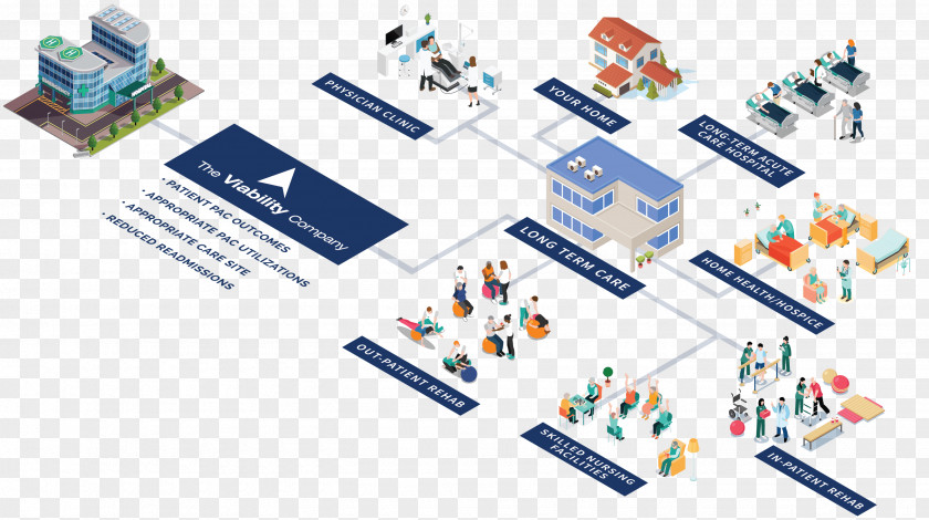 Hospital Accountable Care Organization Diagram PNG