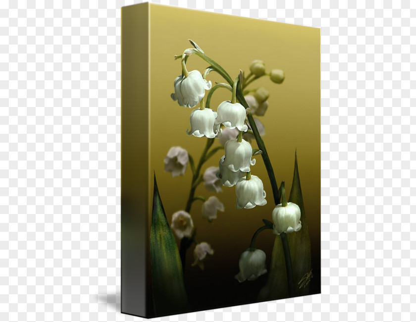 Lily Of The Valley Floral Design Vase Desktop Wallpaper Flowering Plant PNG