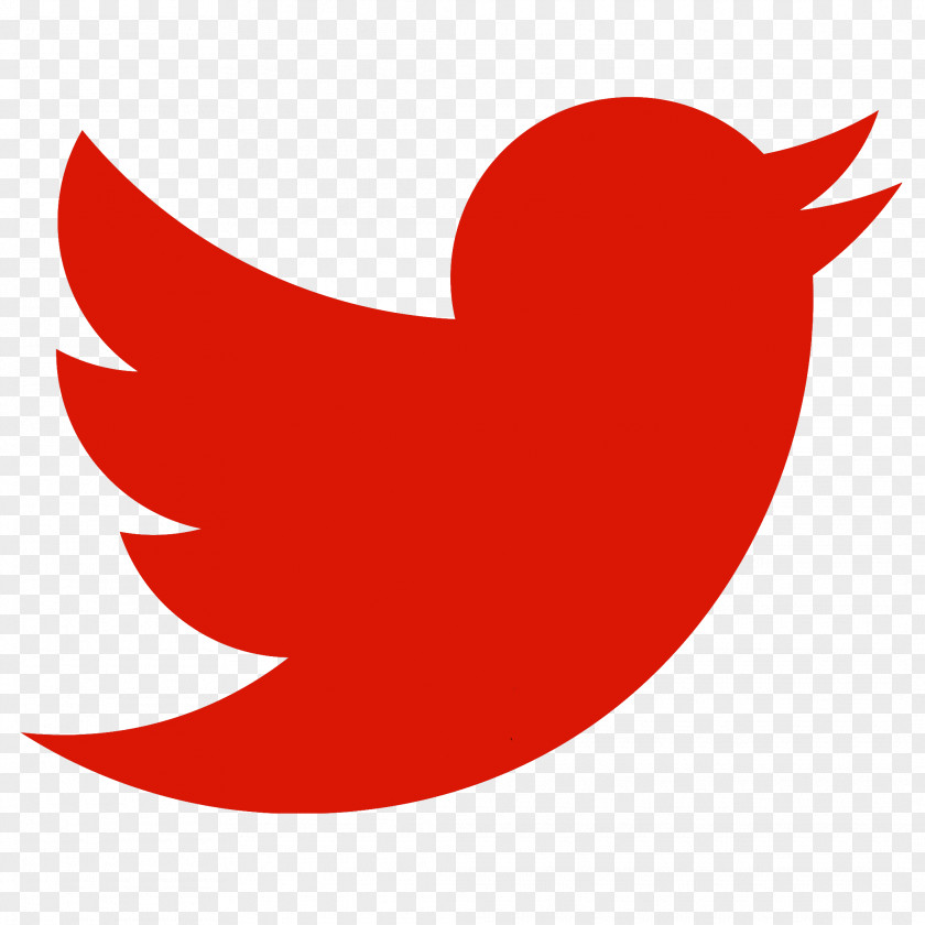 Twitter Bird Information Service Organization Three Angry Wives Pub Company PNG