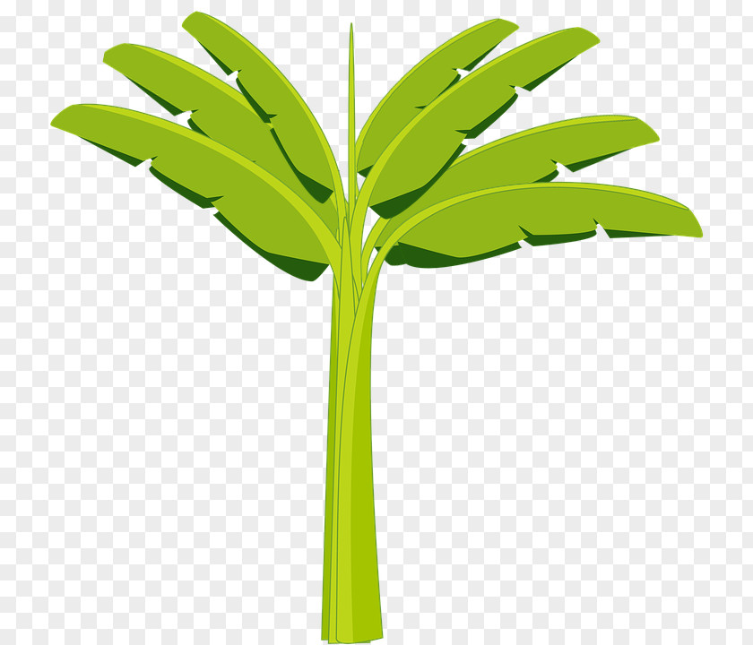 Banana Banaani Clip Art Image PNG