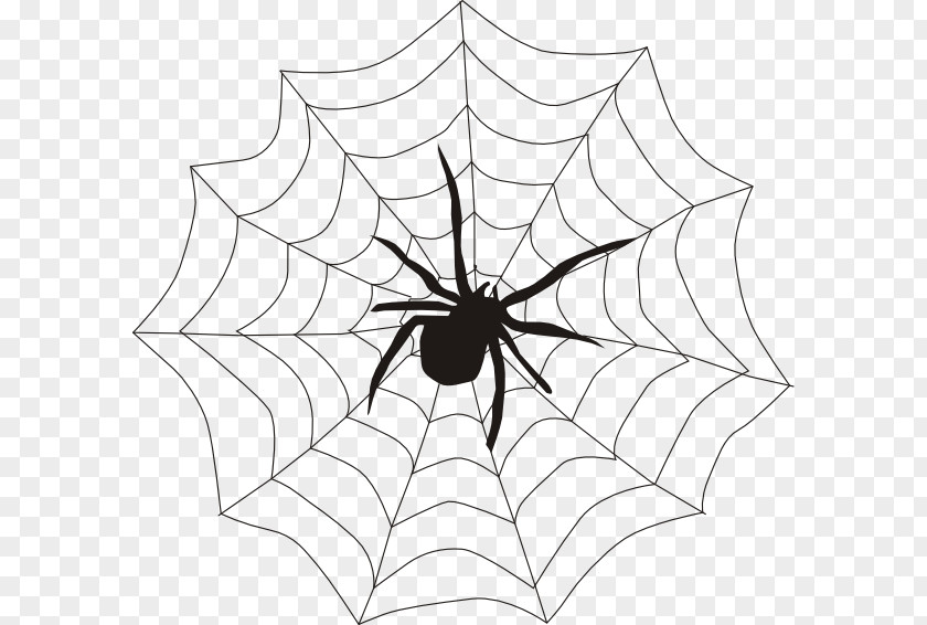 Cobweb Cliparts Free Spider Web Itsy Bitsy Clip Art PNG