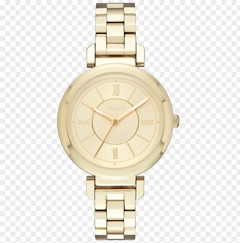 Dkny Watch DKNY Silver Online Shopping Fashion PNG