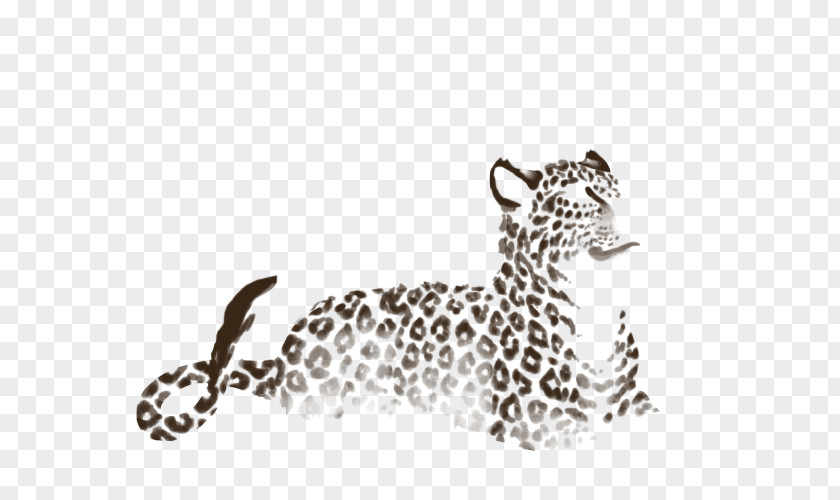 Leopard Cheetah Jaguar Cat Terrestrial Animal PNG