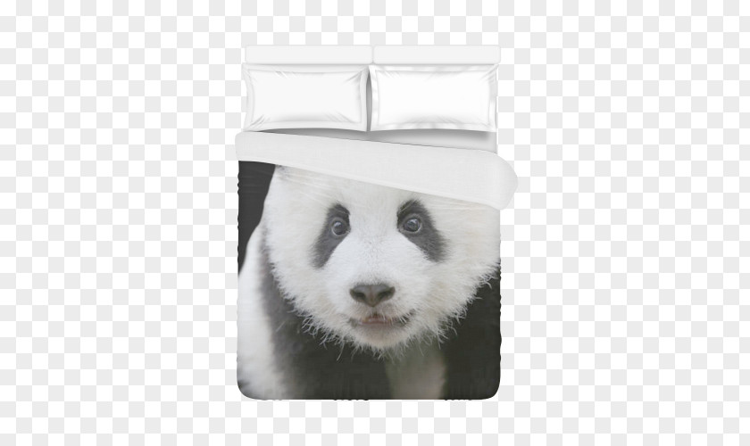 Panda Print Giant Belt Buckles Fur Whiskers Snout PNG