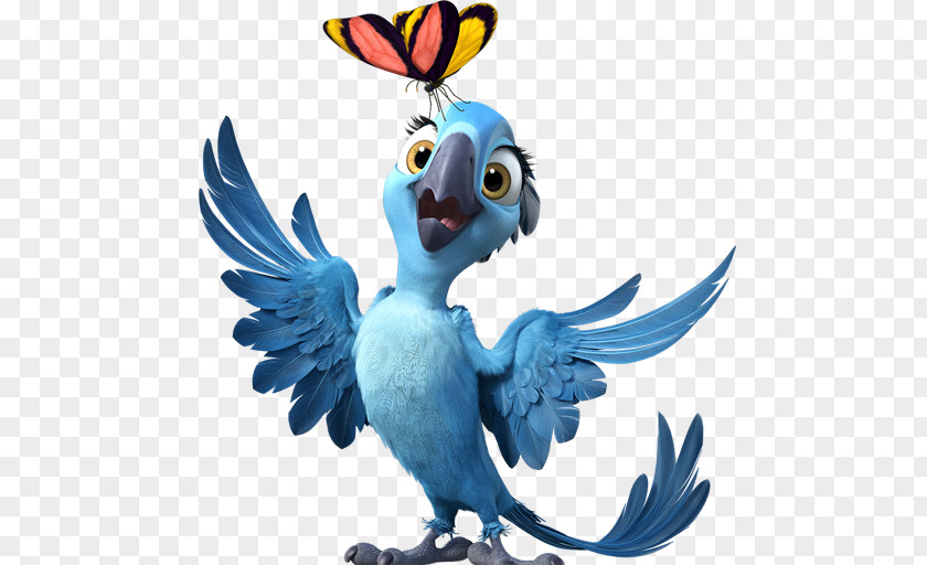 Rio2 Bia Macaw Parrot Bird Beak Fauna PNG