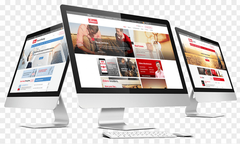 Swans Web Development Responsive Design Graphic PNG