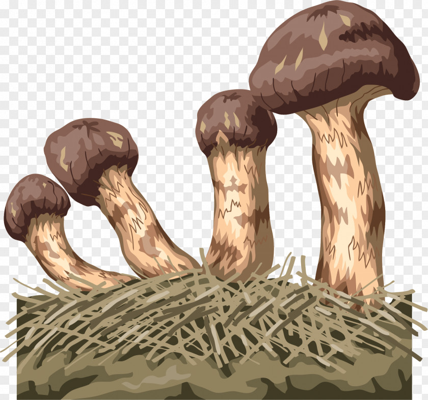 Vector Hand Painted Mushrooms Edible Mushroom Euclidean Fungus PNG