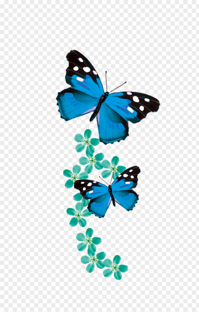 Blue Butterfly Monarch PNG