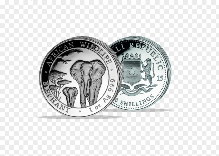 Coin Silver Ounce Gold Somali Shilling PNG