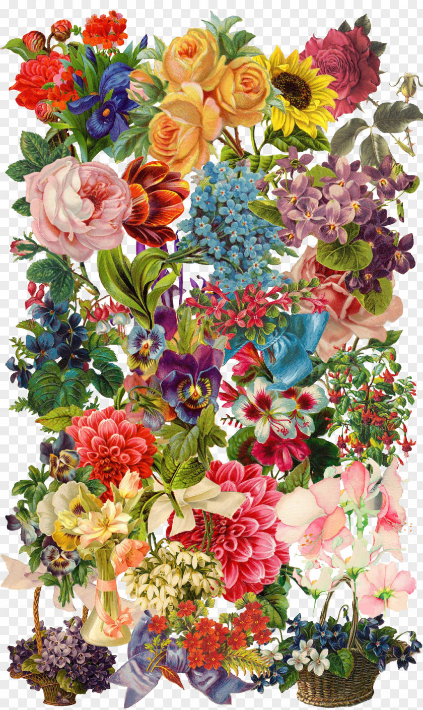 Flower Collection China Floral Design Illustration PNG