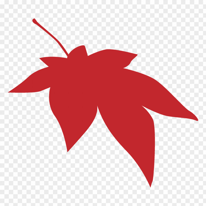 Logo Flower Maple Leaf Autumn Fall PNG