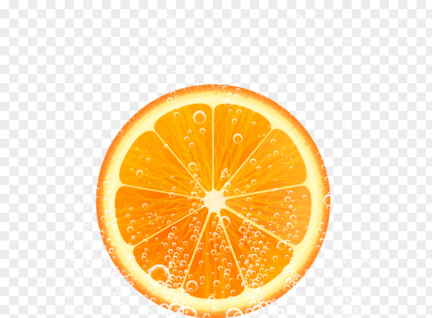 Fresh Lemon Orange Fruit Vector Material Juice Grapefruit PNG