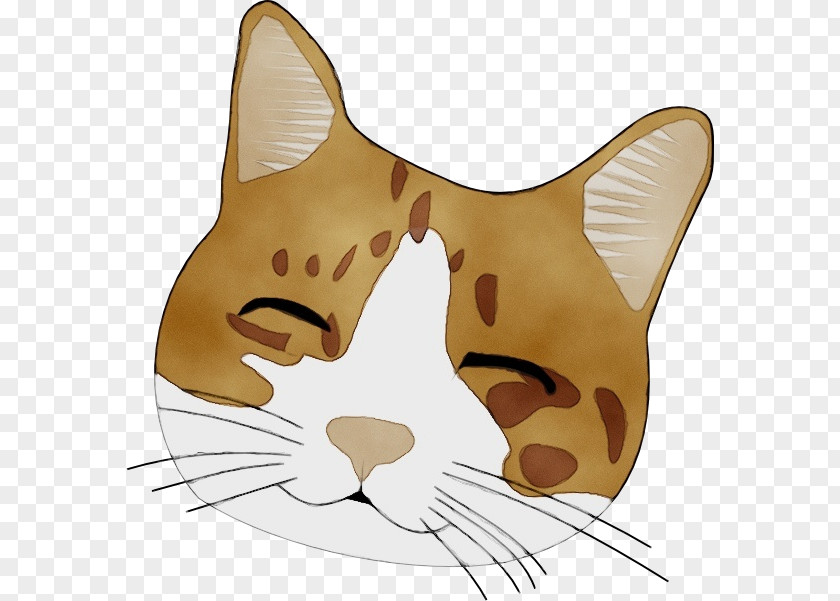 Kitten Tail Whiskers Cat Dog Drawing Paw PNG