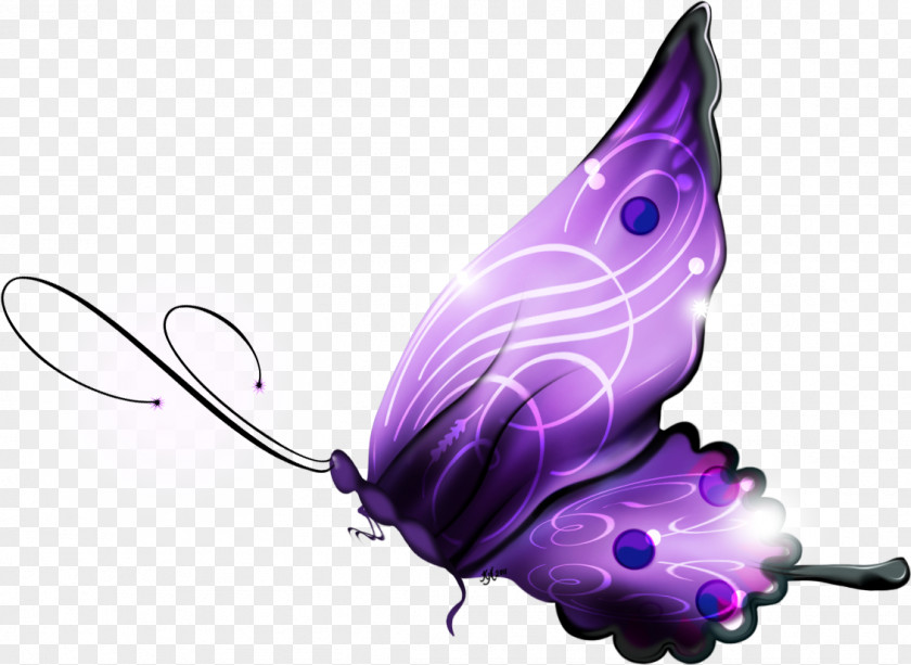 Magical Butterfly Android Purple Clip Art PNG