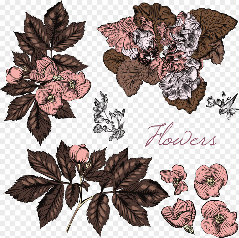 Vector Vintage Flowers Euclidean Flower Stock Photography PNG